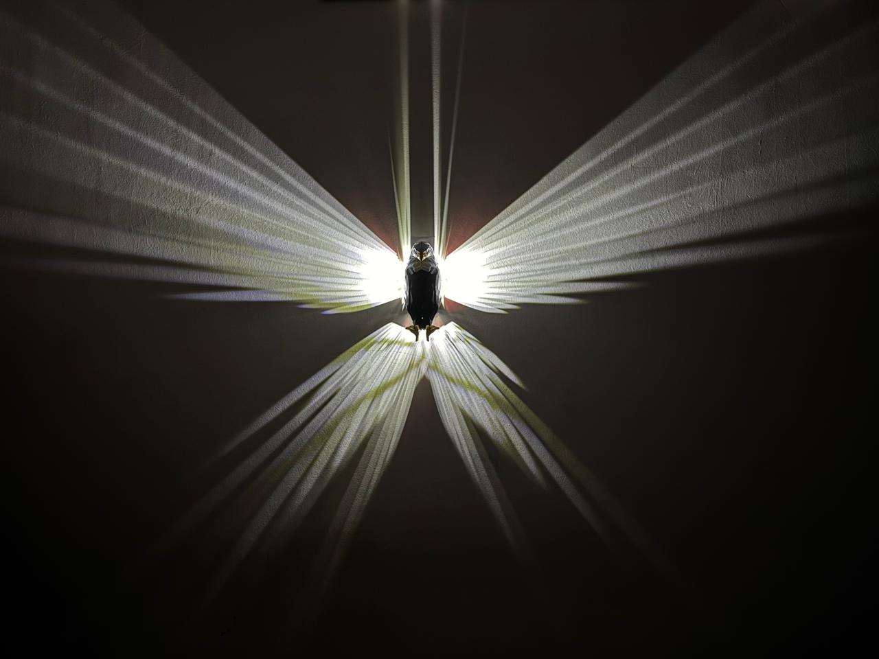 Cell Operated Eagle Wall Lamp 🇨🇳 | Premium Decorative Wall Light