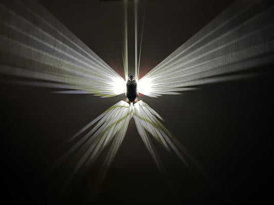 Cell Operated Eagle Wall Lamp 🇨🇳 | Premium Decorative Wall Light